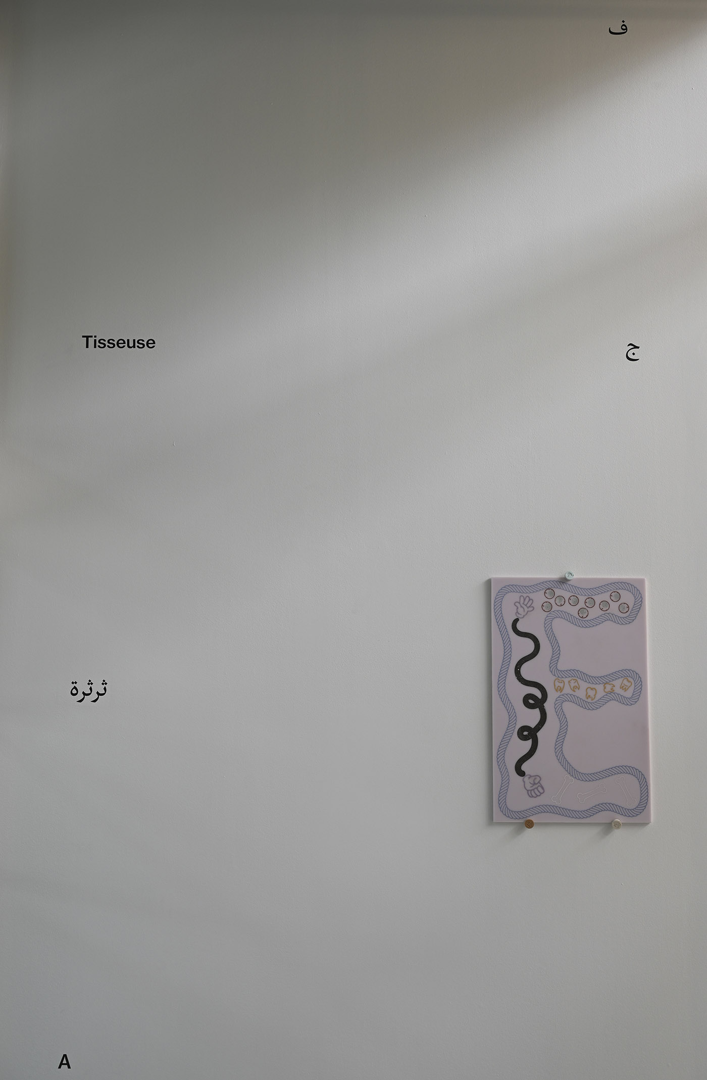 ceel-mogami-de-haas-lq-006-recadre